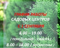 Цветы